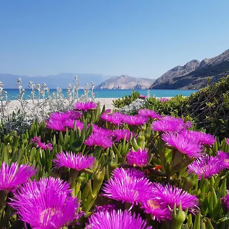 Gostinjska kuća Gabriela 3*